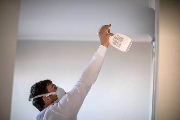 Best Professional Mold Removal  in Clearlake Oaks, CA