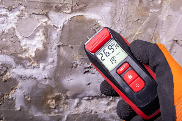 Best Same-Day Mold Removal  in Clearlake Oaks, CA