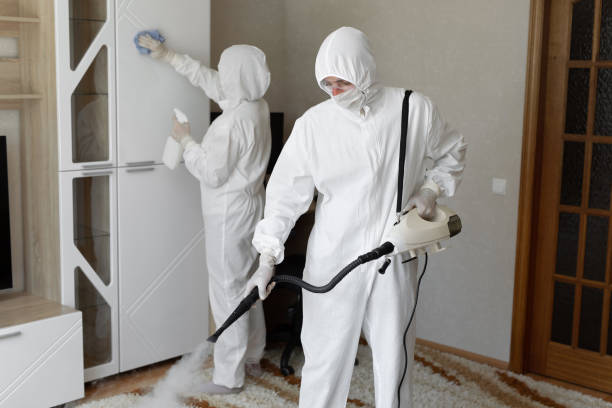 Best Residential Mold Removal  in Clearlake Oaks, CA