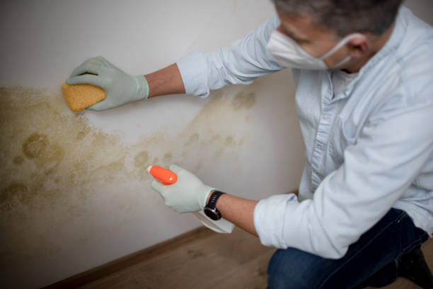 Best Crawl Space Mold Removal  in Clearlake Oaks, CA