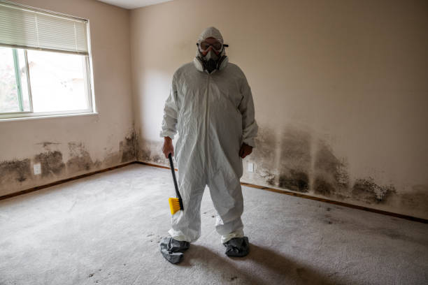 Best Commercial Mold Removal  in Clearlake Oaks, CA