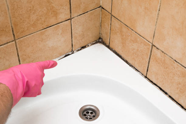 Best Mold Testing  in Clearlake Oaks, CA